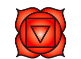 Illustration for the 1st chakra